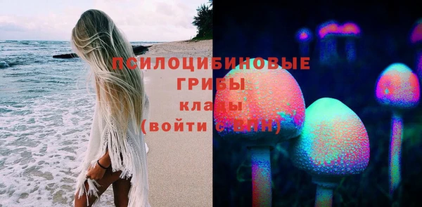 apvp Ростов