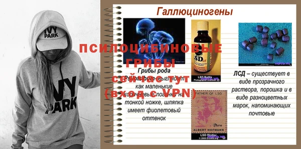 гашик Абдулино