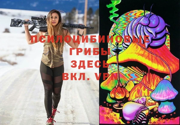 стаф Алексин